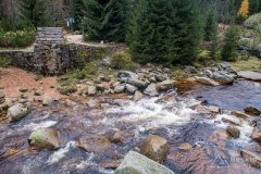 IMG_4273