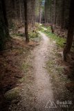 IMG_4322