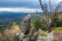 IMG_4356