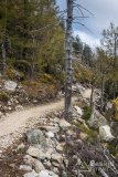 IMG_4358