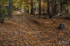 Podjazd z Łękawicy na Przykrzycę