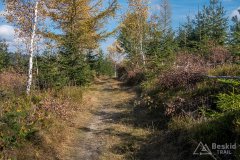 Okolice Gibasowego Gronia