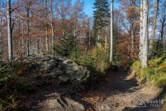 Na czerwonym szlaku pomiędzy Leskowcem a Łamaną Skałą