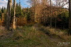 Przełęcz Przysłop Cisowy