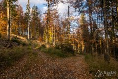 Na niebieskim szlaku na  Jaworzynę