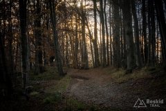 Na niebieskim szlaku na  Jaworzynę