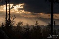 Na szlaku z Jaworzyny do Oczkowa