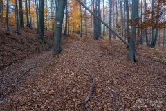 Na szlaku z Jaworzyny do Oczkowa