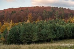 Na szlaku z Jaworzyny do Oczkowa