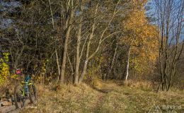 Na niebieskim szlaku z Hali Radziechowskiej do Radziechów