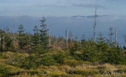 Okolice Glinnego - widok na Pasmo Lipowskiej (widać tylko grzbiet nad chmurami)