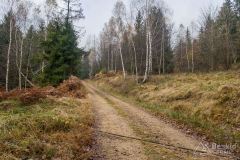 Szutrowy podjazd z Węgierskiej Górki pod Glinne