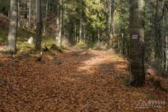 Na czerwonym szlaku z Węgierskiej Górki na Glinne