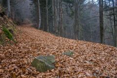 Na czerwonym szlaku z Węgierskiej Górki na Glinne