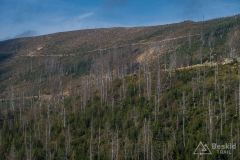 Szutrowy podjazd z Węgierskiej Górki pod Glinne