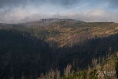 Szutrowy podjazd z Węgierskiej Górki pod Glinne