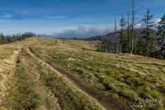 Na Hali Radziechowskiej