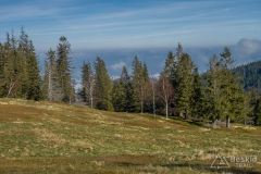 Na Hali Radziechowskiej