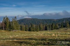 Na Hali Radziechowskiej