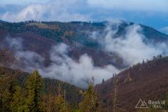 Widok spod Hali Radziechowskiej