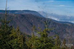 Widok spod Hali Radziechowskiej