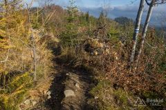 Na niebieskim szlaku z Hali Radziechowskiej do Radziechów