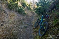 Na niebieskim szlaku z Hali Radziechowskiej do Radziechów