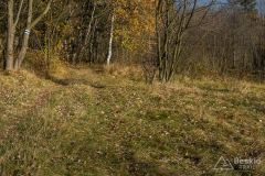 Na niebieskim szlaku z Hali Radziechowskiej do Radziechów