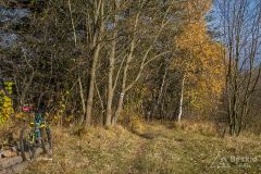 Na niebieskim szlaku z Hali Radziechowskiej do Radziechów