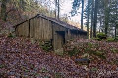 W dolinie Przybędzy