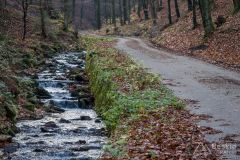 W dolinie Przybędzy