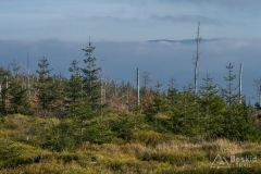 Okolice Glinnego - widok na Pasmo Lipowskiej (widać tylko grzbiet nad chmurami)