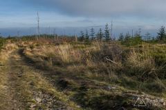 Okolice Glinnego - widok na Pasmo Lipowskiej (widać tylko grzbiet nad chmurami)