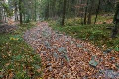 Czerwony szlak z Glinnego do Węgierskiej Górki