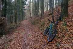 Czerwony szlak z Glinnego do Węgierskiej Górki