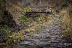 IMG_4556