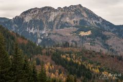 IMG_4563