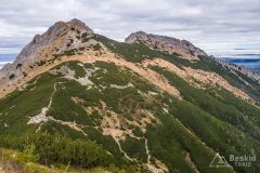 IMG_4582
