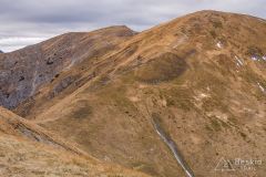 IMG_4586