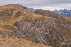 IMG_4597