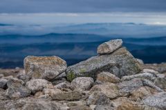 IMG_4598