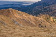 IMG_4605