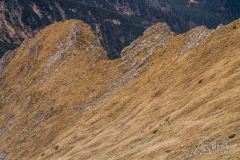 IMG_4612