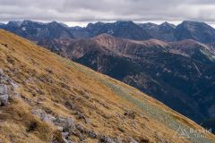 IMG_4613