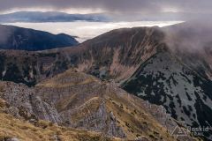 IMG_4618