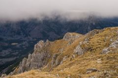 IMG_4619