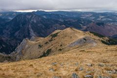 IMG_4620