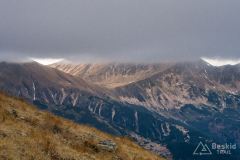 IMG_4624