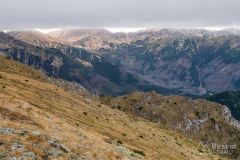 IMG_4625