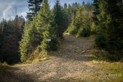 Początek terenowego podjazdu z Żabnicy-Skałka na Halę Boraczą